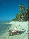 Voir la photo de taxi for the beach